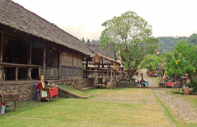 Lahangan Sweet Viewpoint, Taman Ujung Palace and Tenganan Village - Instagram Private Tour - Photo 7